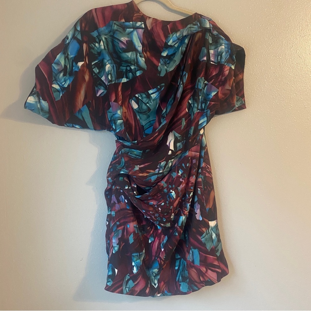 Peter Pillotto dress